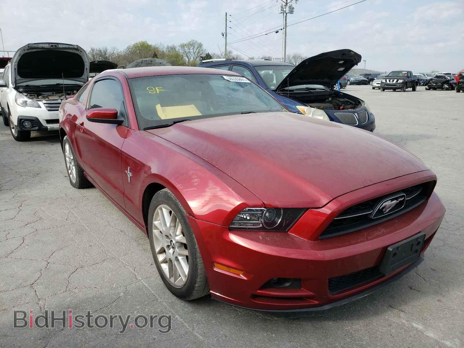Photo 1ZVBP8AM4E5210046 - FORD MUSTANG 2014