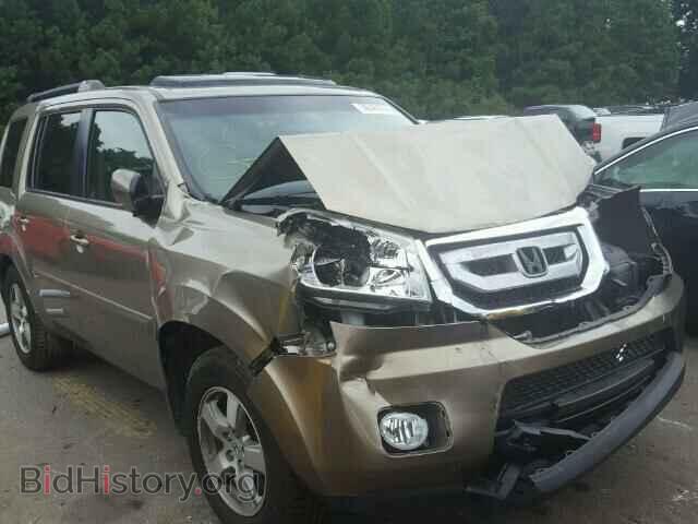 Фотография 5FNYF3H52AB012253 - HONDA PILOT 2010