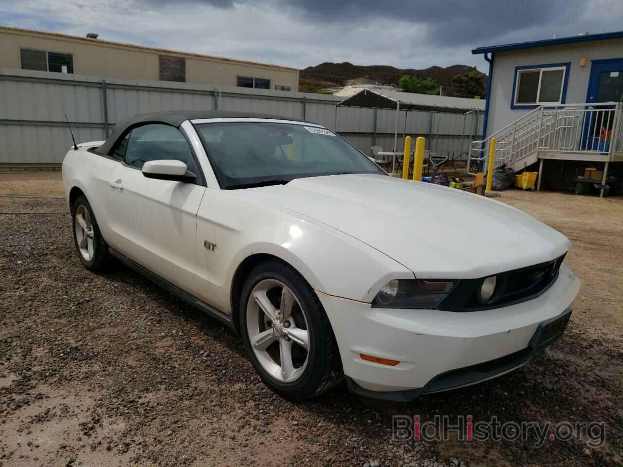 Photo 1ZVBP8FH7A5178943 - FORD MUSTANG 2010