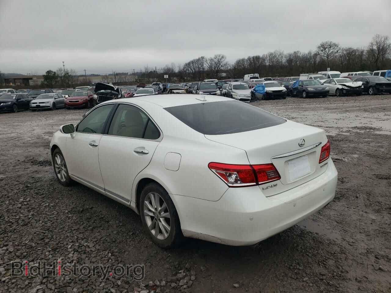 2010 LEXUS ES350 - VIN: JTHBK1EG4A2411047 - Фото 2