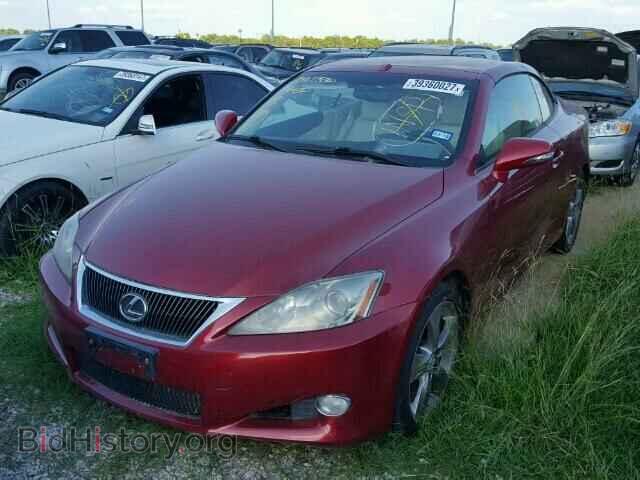 2010 LEXUS IS 250 - VIN: JTHFF2C27A2503496 - Фото 2