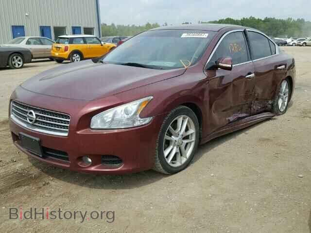 2009 NISSAN MAXIMA - VIN: 1N4AA51E69C814504 - Фото 2