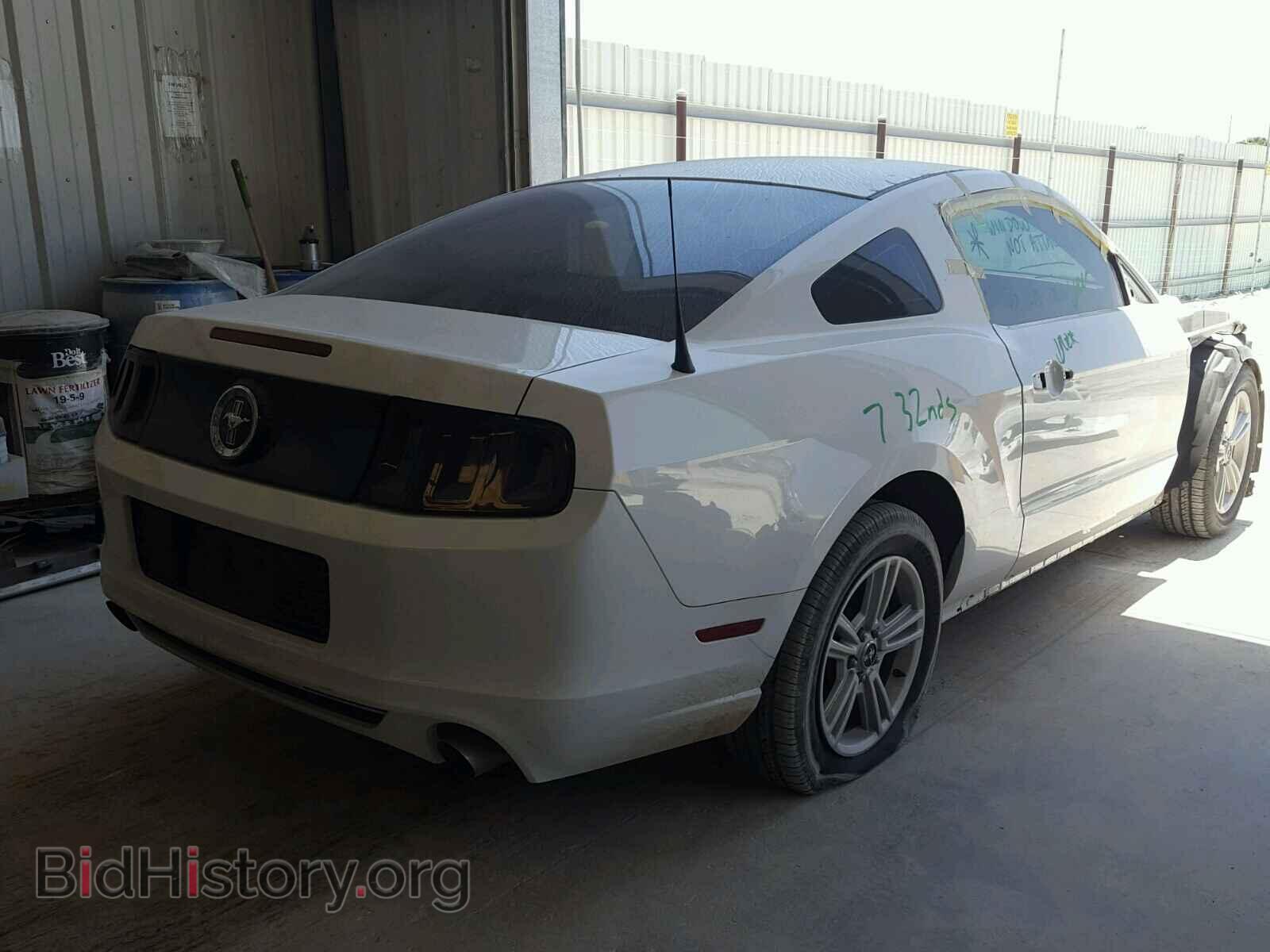 2014 FORD MUSTANG - VIN: 1ZVBP8AM4E5294417 - Фото 4