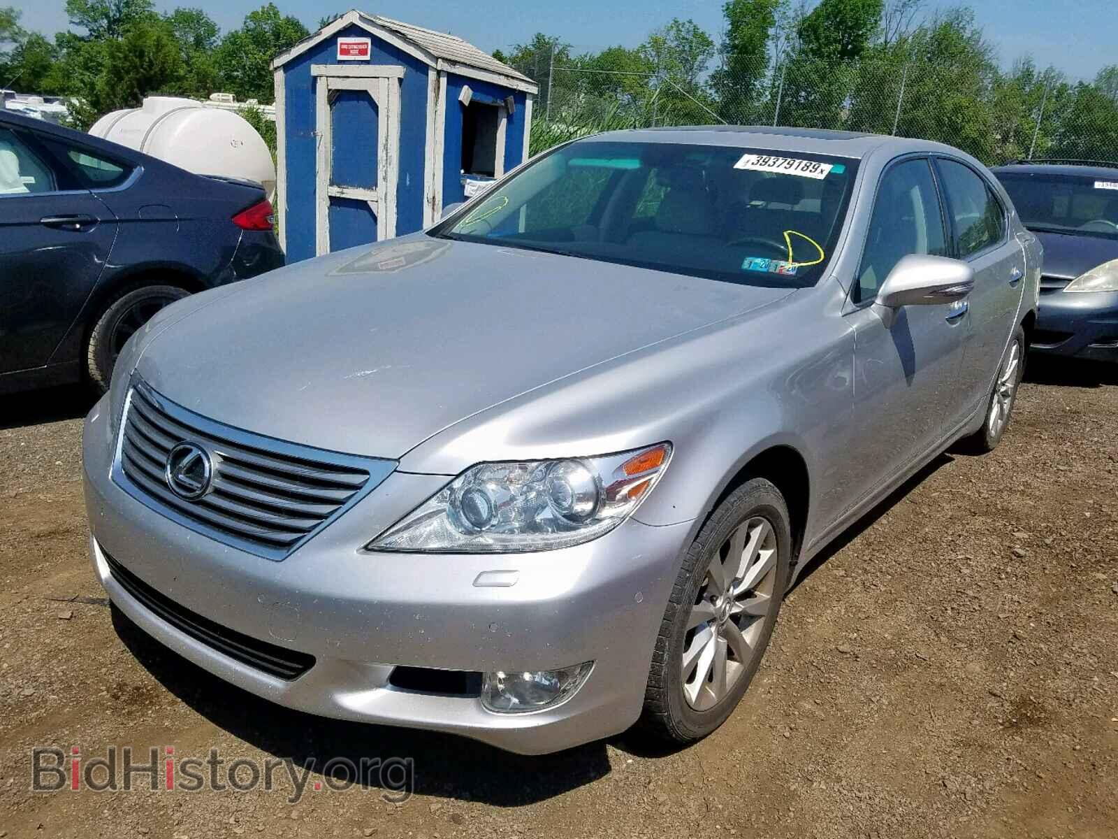 2010 LEXUS LS460 - VIN: JTHCL5EFXA5007703 - Фото 2