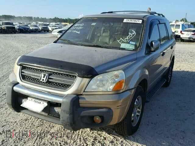 2005 HONDA PILOT - VIN: 5FNYF18505B013220 - Фото 2