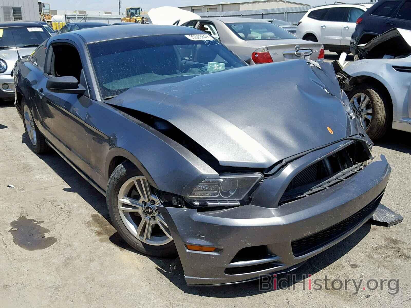 Photo 1ZVBP8AM5E5316909 - FORD MUSTANG 2014