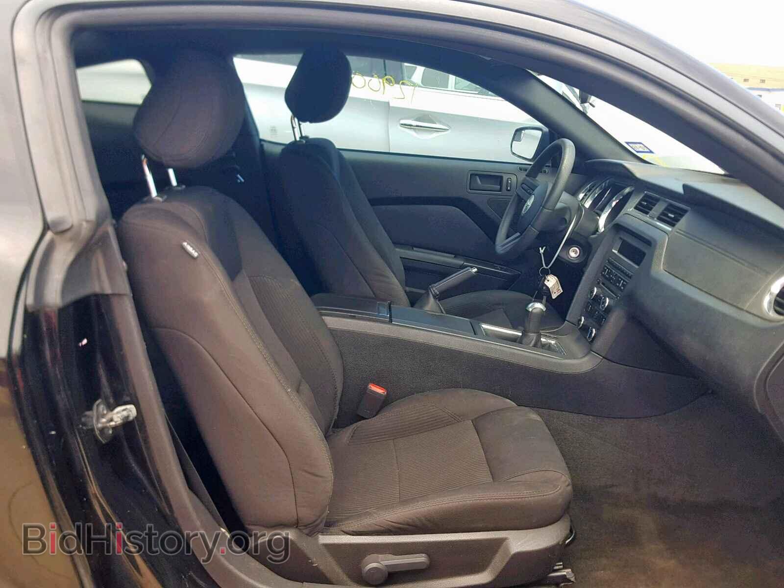 2012 FORD MUSTANG - VIN: 1ZVBP8AM7C5260405 - Фото 5