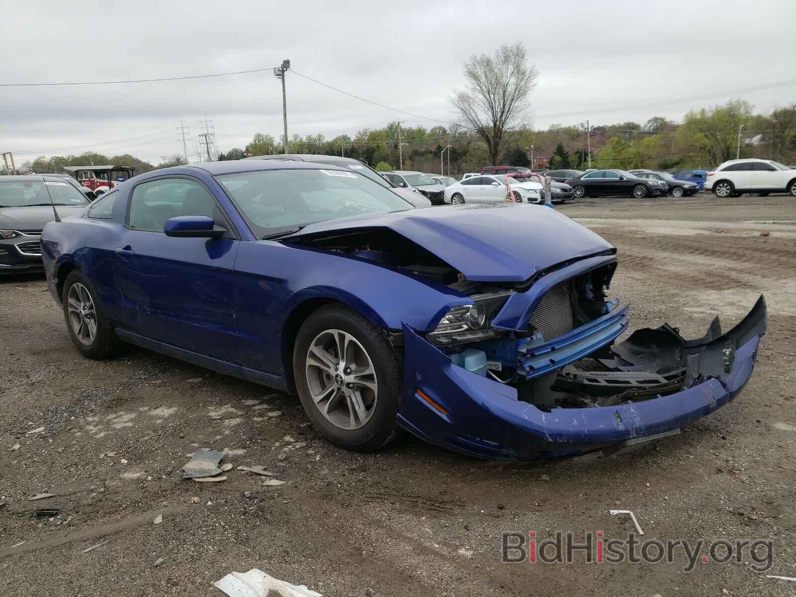 Photo 1ZVBP8AM9E5319392 - FORD MUSTANG 2014