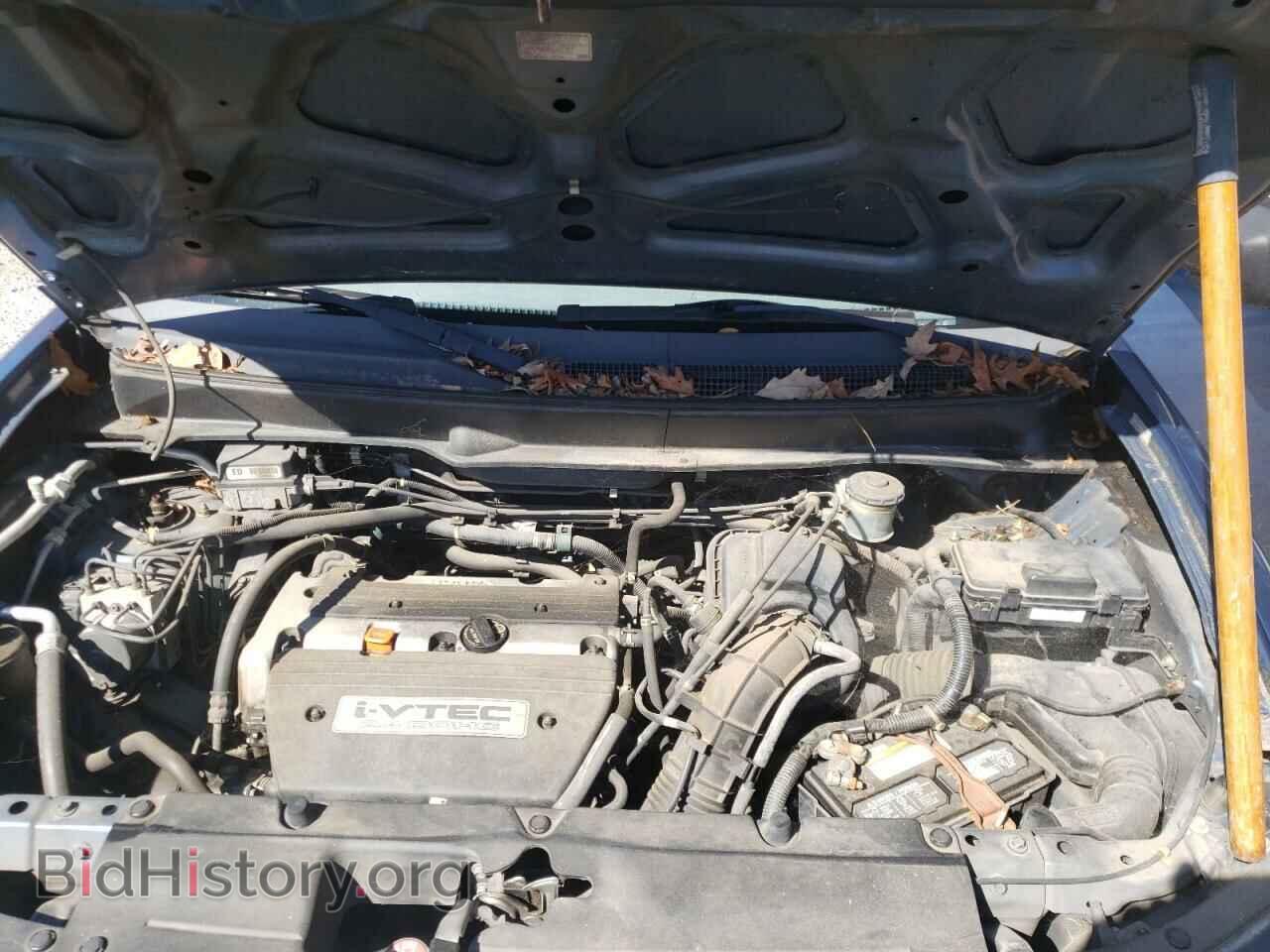 2006 HONDA ELEMENT - VIN: 5J6YH18636L009951 - Фото 7