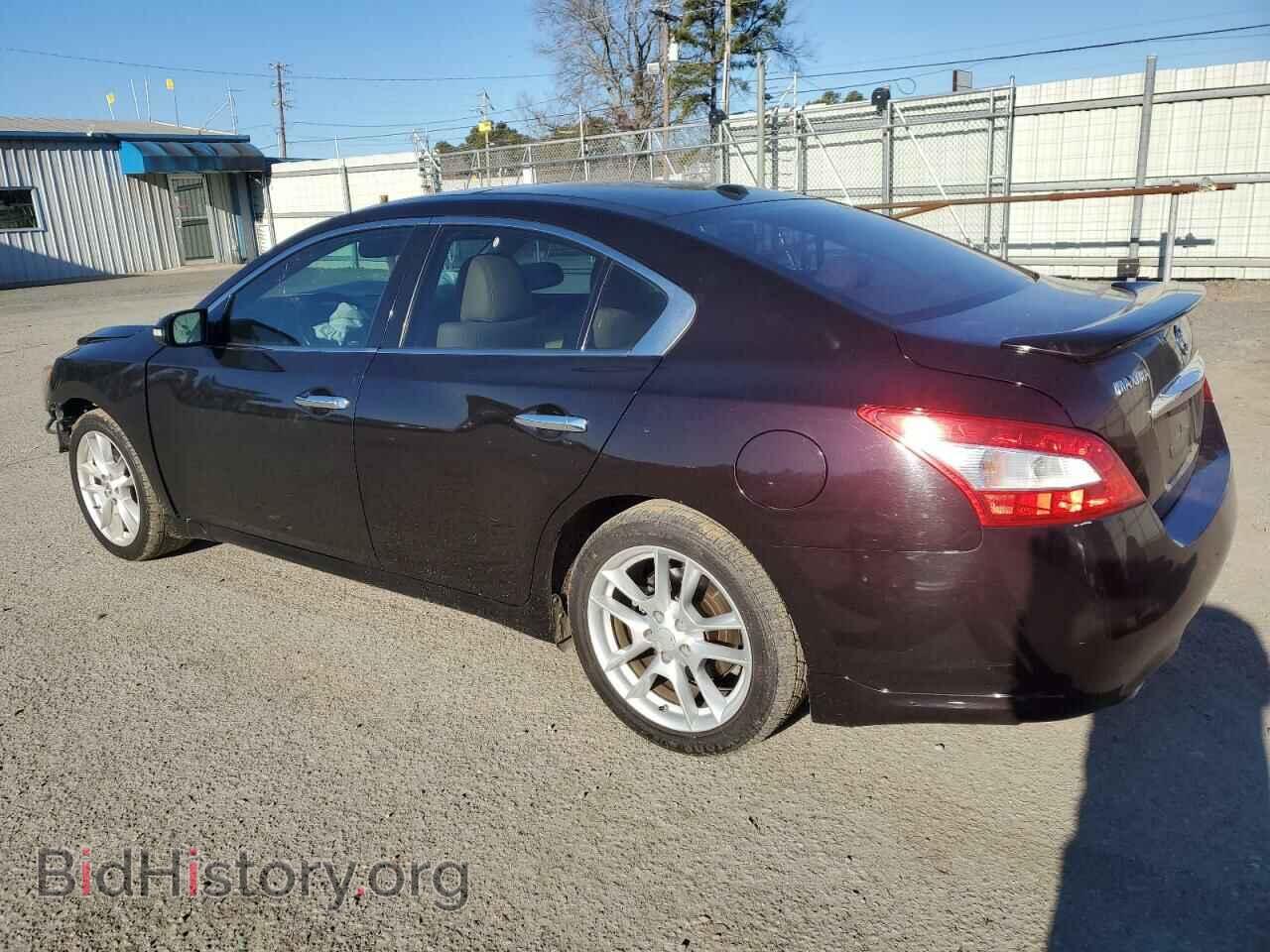 2011 NISSAN MAXIMA - VIN: 1N4AA5AP1BC830004 - Фото 2