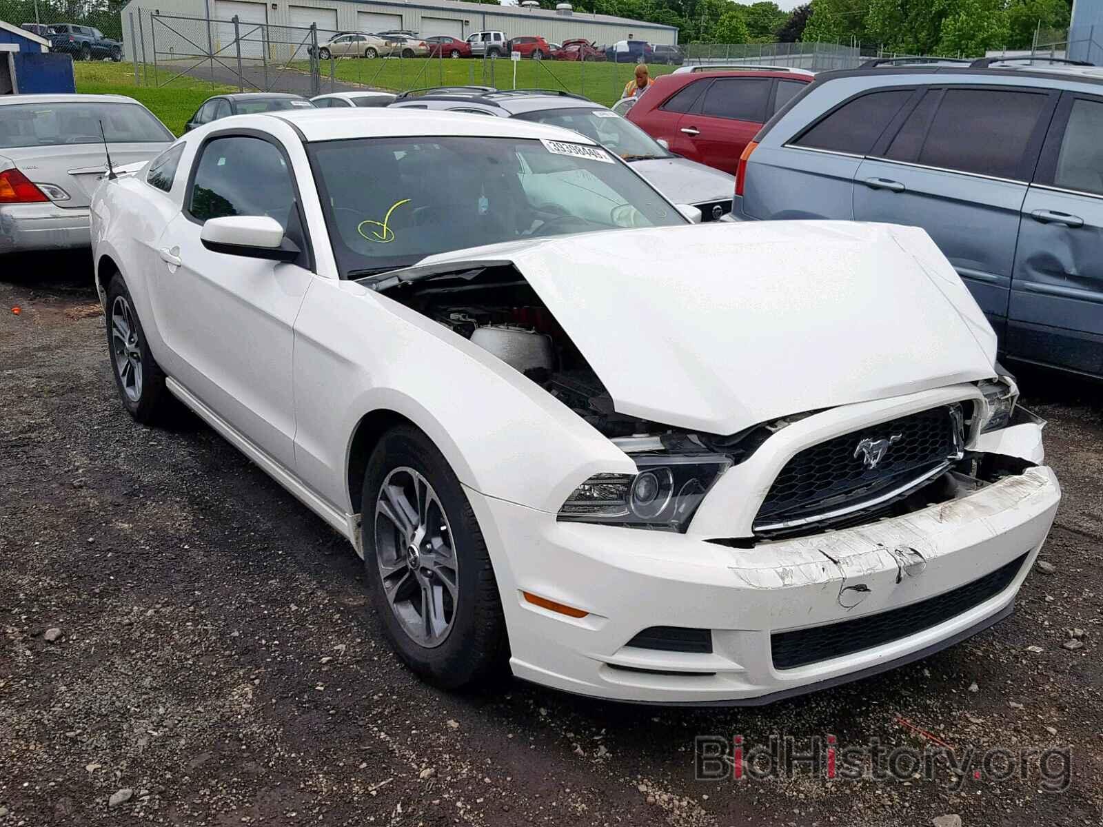 Photo 1ZVBP8AM4D5260461 - FORD MUSTANG 2013