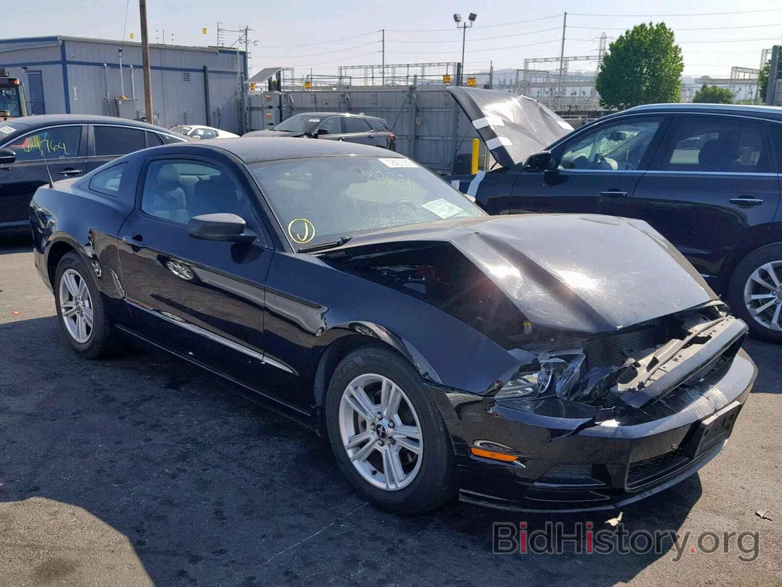 Photo 1ZVBP8AM3D5225121 - FORD MUSTANG 2013