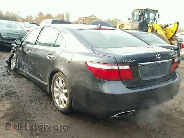 2009 LEXUS LS460 - VIN: JTHDL46F695000854 - Фото 3