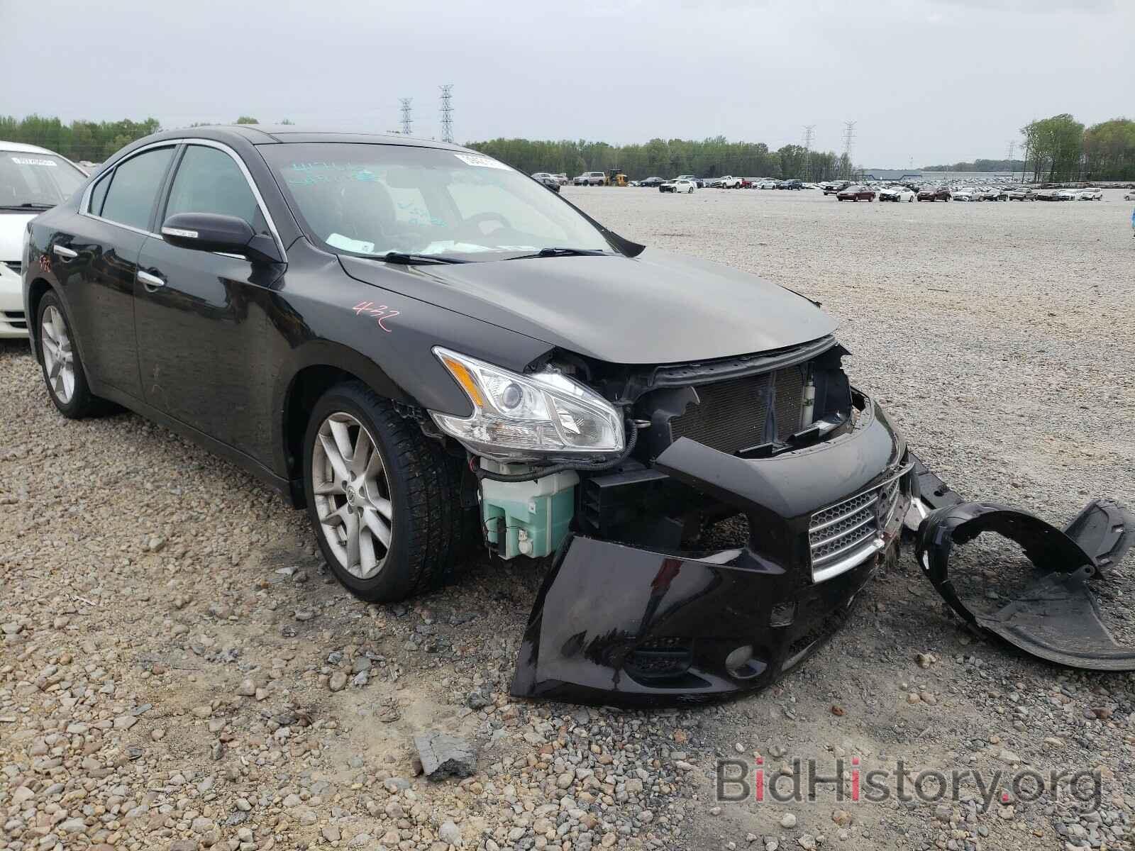 Photo 1N4AA5APXBC847996 - NISSAN MAXIMA 2011