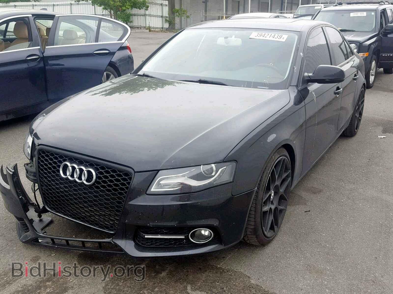 2010 AUDI A4 - VIN: WAUBFAFL3AN070561 - Фото 2