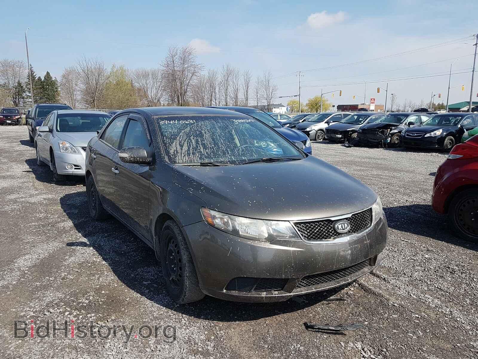 Photo KNAFU4A25A5225764 - KIA FORTE 2010