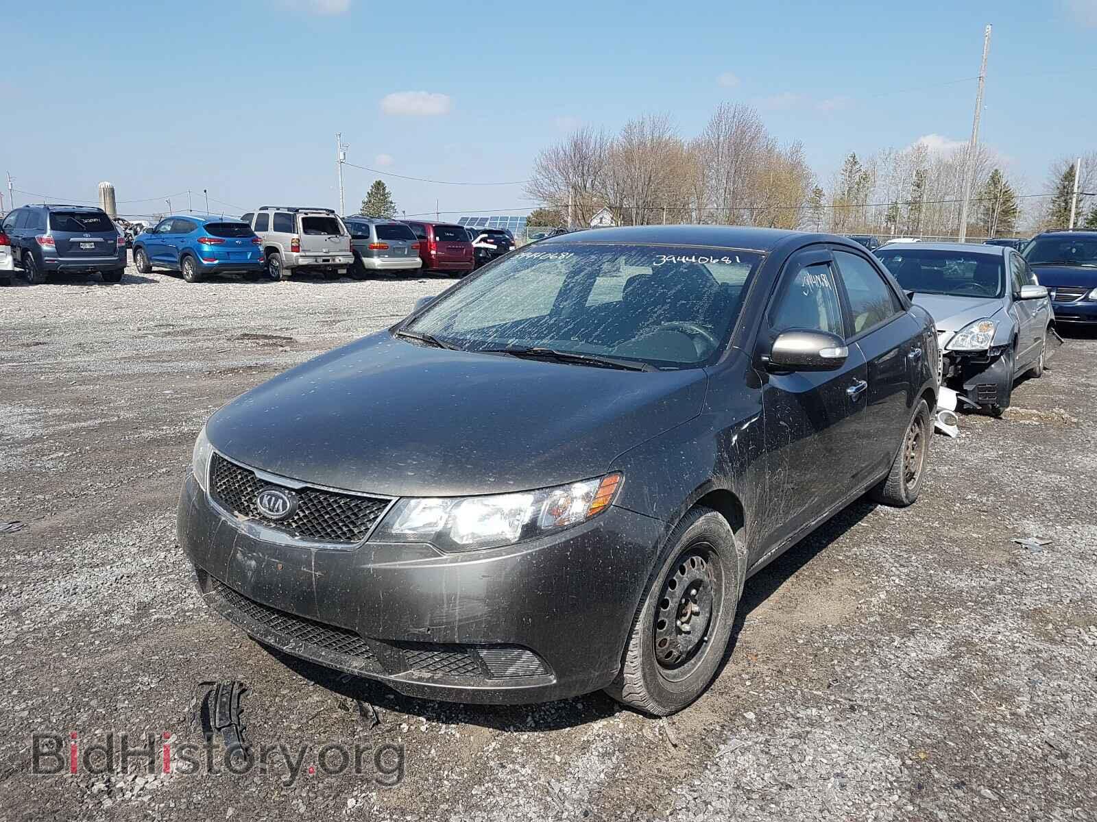 2010 KIA FORTE - VIN: KNAFU4A25A5225764 - Фото 2