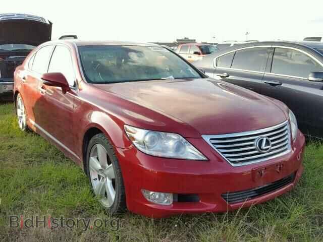 Фотография JTHBL5EF3A5097319 - LEXUS LS460 2010