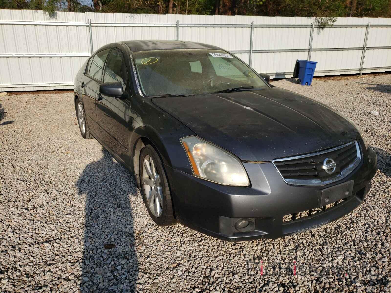 Photo 1N4BA41E78C810295 - NISSAN MAXIMA 2008