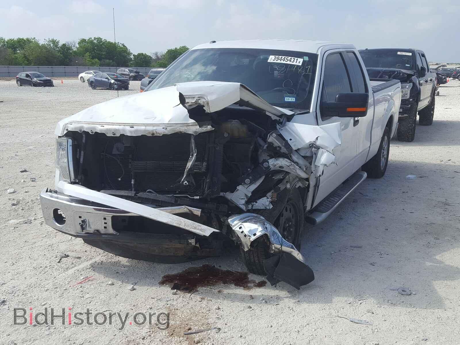 2013 FORD F150 - VIN: 1FTFX1CF4DFD81981 - Фото 2