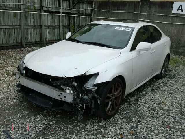 2008 LEXUS IS250 - VIN: JTHBK262X85074109 - Фото 2