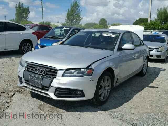 2010 AUDI A4 - VIN: WAUBFAFL0AN008874 - Фото 2