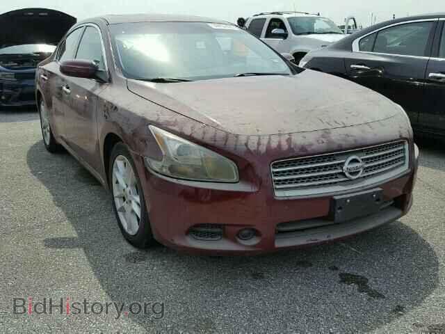 Фотография 1N4AA5AP7BC835224 - NISSAN MAXIMA 2011