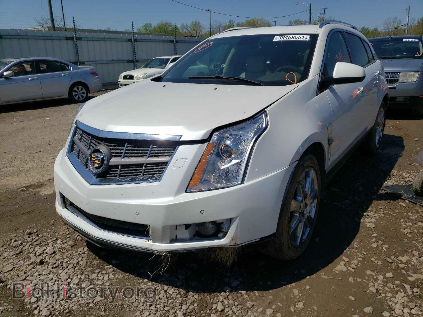 2011 CADILLAC SRX - VIN: 3GYFNFEY9BS516991 - Фото 2