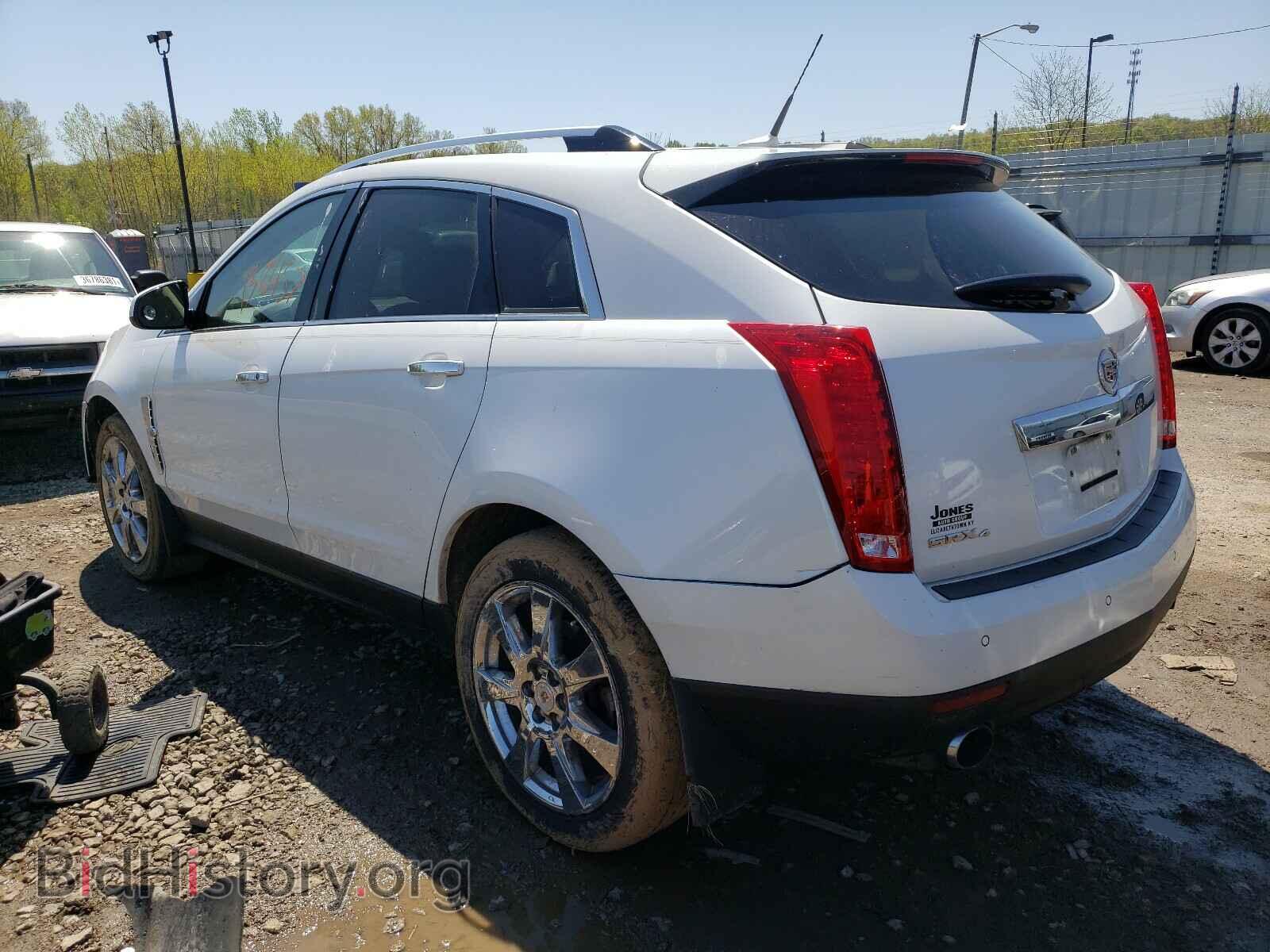 2011 CADILLAC SRX - VIN: 3GYFNFEY9BS516991 - Фото 3