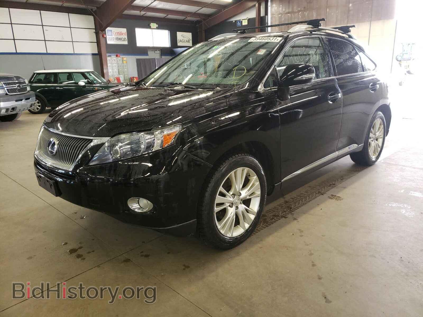 2010 LEXUS RX450 - VIN: JTJBC1BA9A2404204 - Фото 2