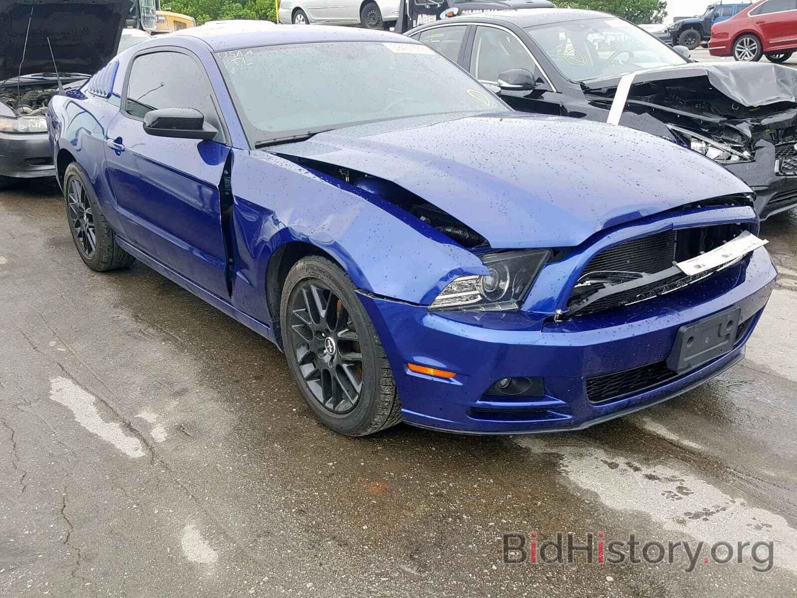 Photo 1ZVBP8AM2E5313580 - FORD MUSTANG 2014