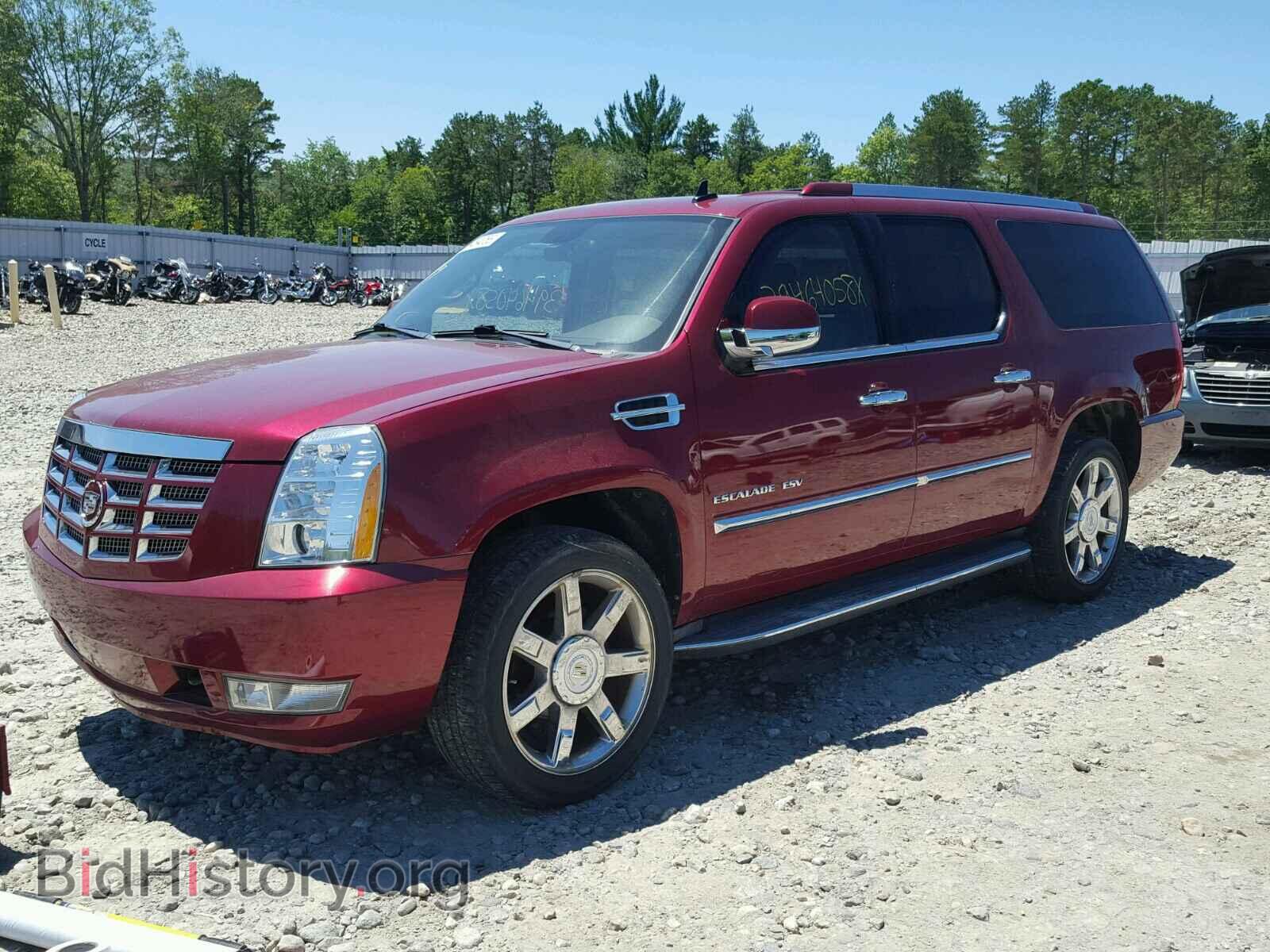 2011 CADILLAC ESCALADE - VIN: 1GYS3HEF3BR146803 - Фото 2