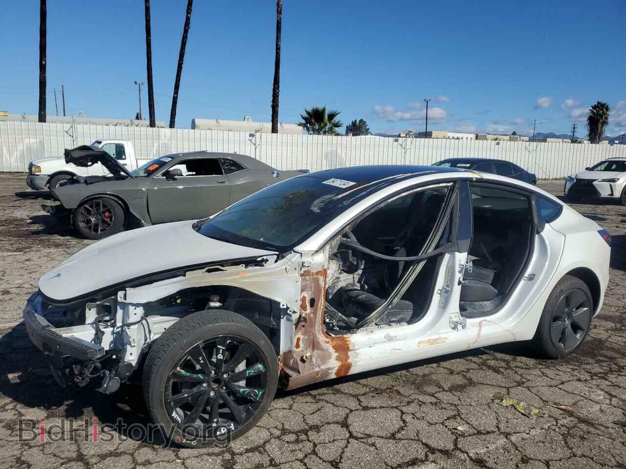Фотография 5YJ3E1EA5PF576345 - TESLA MODEL 3 2023