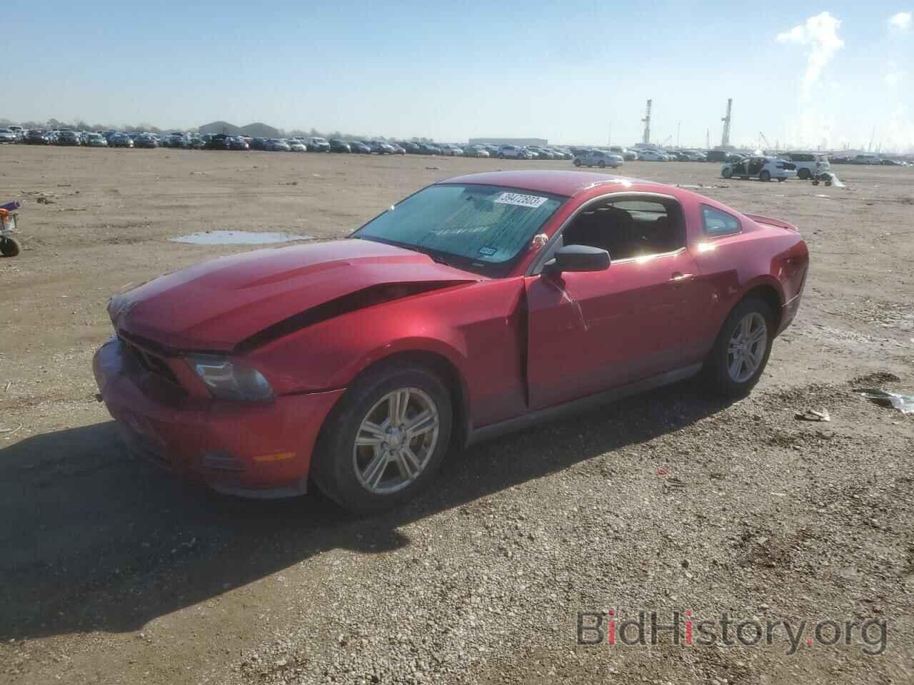 Photo 1ZVBP8AN1A5180670 - FORD MUSTANG 2010