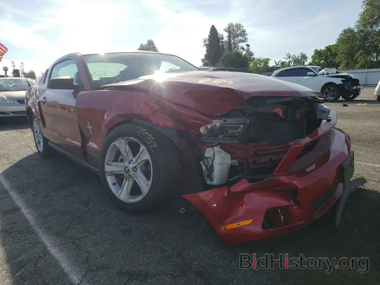 Photo 1ZVBP8AN4A5143984 - FORD MUSTANG 2010
