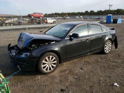 2011 Audi A4 A4 Premium, черный — VIN WAUFFAFL9BN025630, Copart