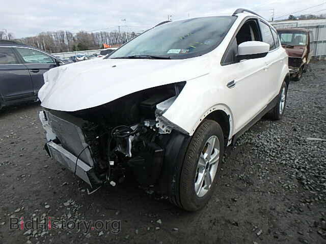 2014 FORD ESCAPE - VIN: 1FMCU9GXXEUC14255 - Фото 2