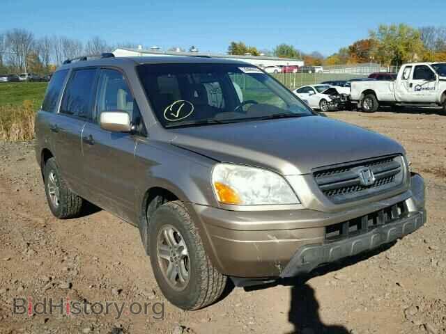 Фотография 5FNYF18655B027042 - HONDA PILOT 2005