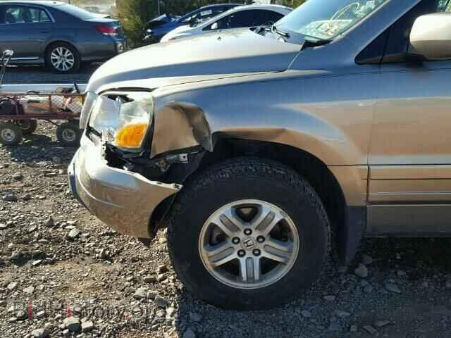 2005 HONDA PILOT - VIN: 5FNYF18655B027042 - Фото 10