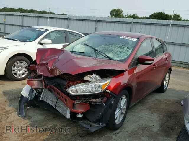 2017 FORD FOCUS - VIN: 1FADP3K28HL251863 - Photo 2
