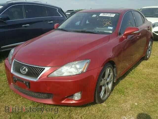 2009 LEXUS IS 250 - VIN: JTHBK262X95105702 - Фото 2