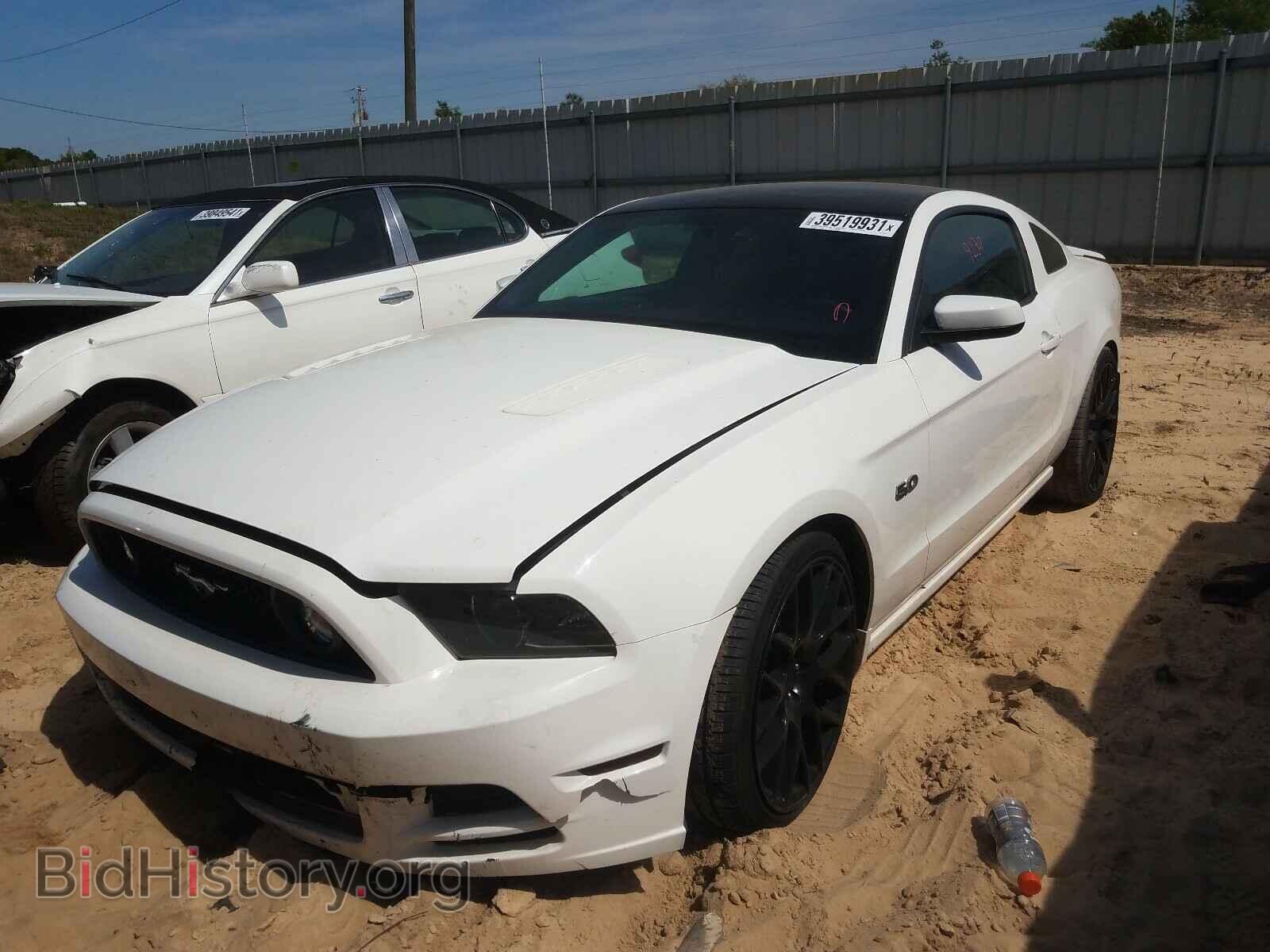 2013 FORD MUSTANG - VIN: 1ZVBP8CF6D5228044 - Фото 2