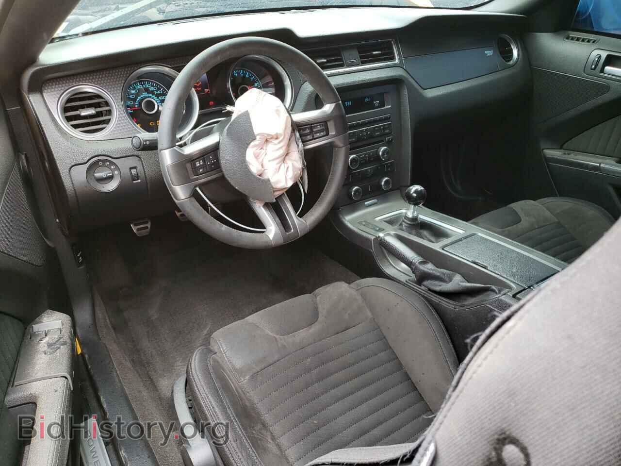 2013 FORD MUSTANG - VIN: 1ZVBP8CU6D5246039 - Фото 8