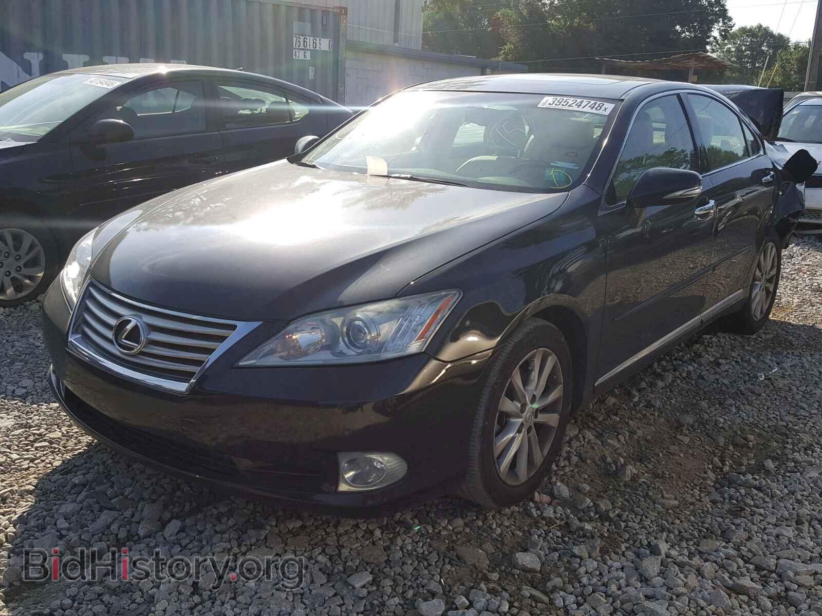 2011 LEXUS ES350 - VIN: JTHBK1EG2B2466677 - Фото 2