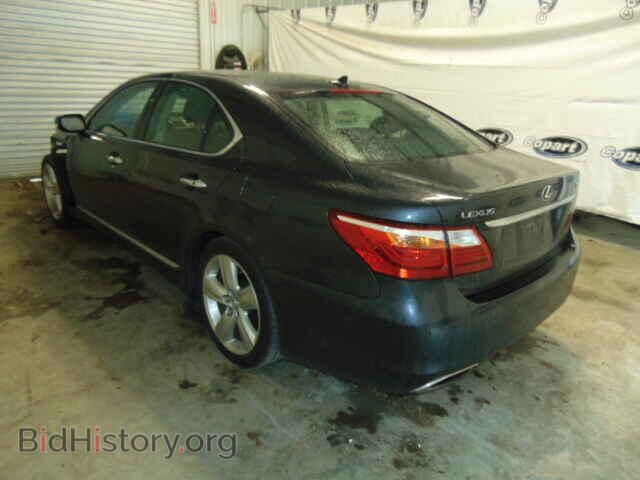 2010 LEXUS LS460 - VIN: JTHBL5EF2A5099501 - Фото 3
