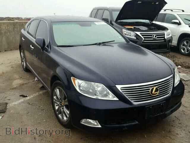 Фотография JTHBL46FX85064112 - LEXUS LS460 2008