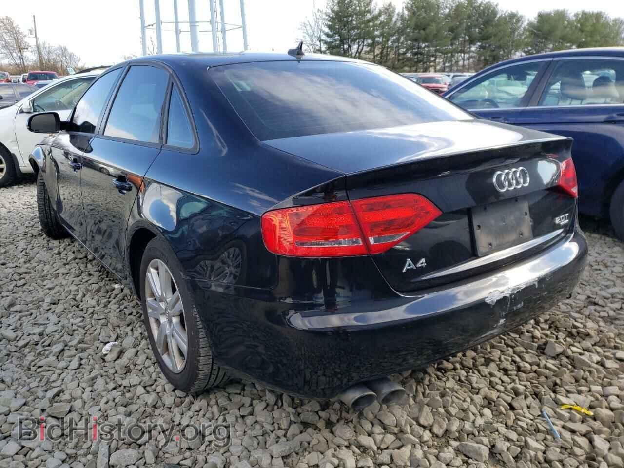2010 AUDI A4 - VIN: WAUBFAFL4AN047774 - Фото 3