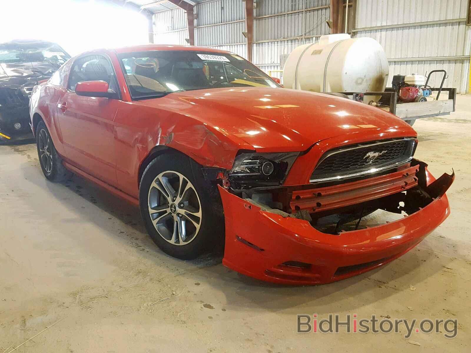 Photo 1ZVBP8AM6E5211859 - FORD MUSTANG 2014