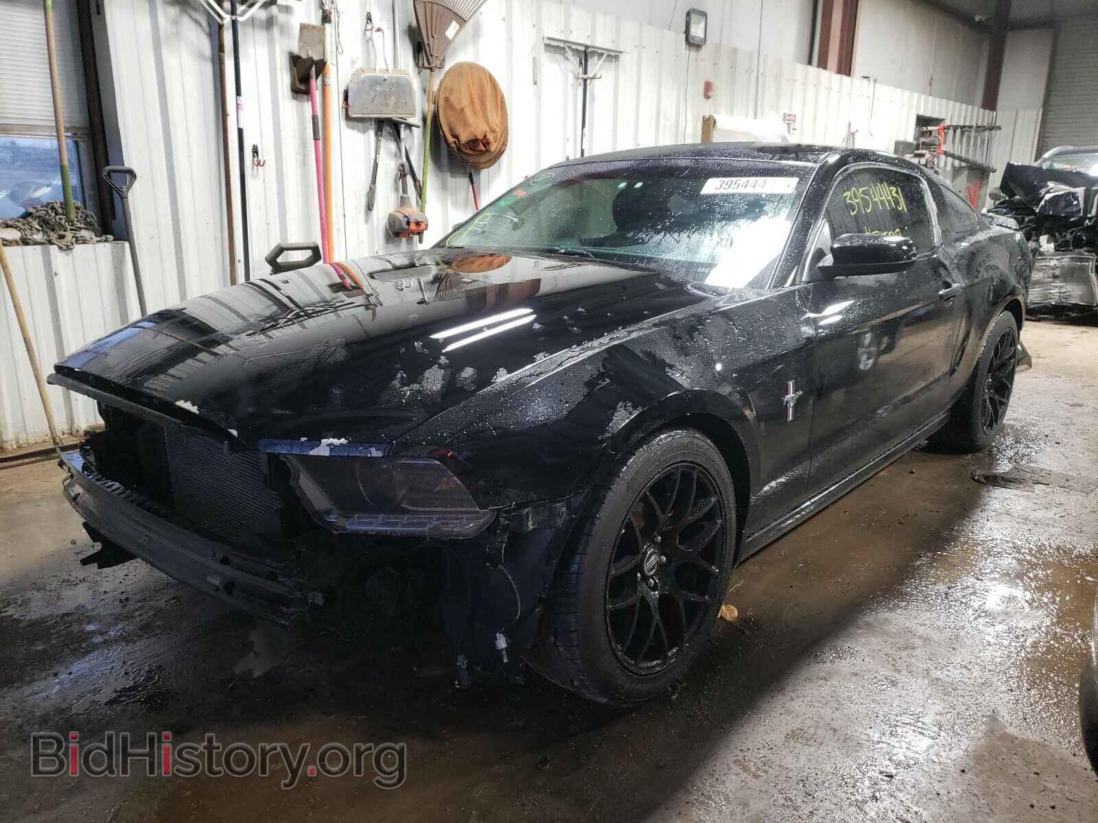 2013 FORD MUSTANG - VIN: 1ZVBP8AM4D5263957 - Фото 2