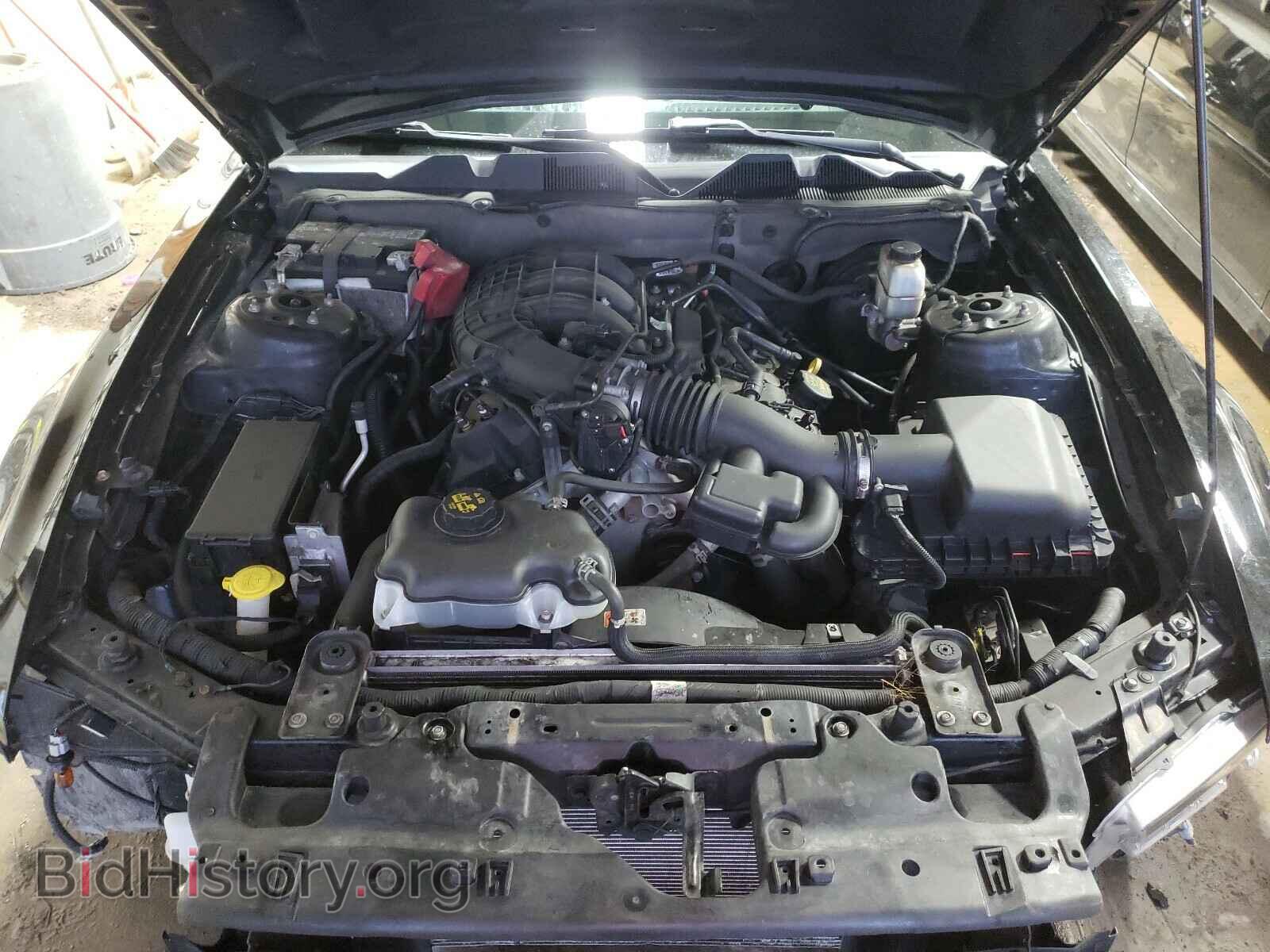 2013 FORD MUSTANG - VIN: 1ZVBP8AM4D5263957 - Фото 7